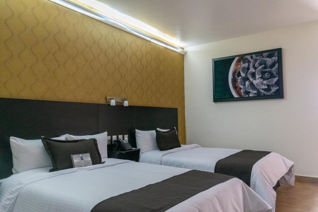 Hotel 5 Inn Plus León de los Aldamas Extérieur photo